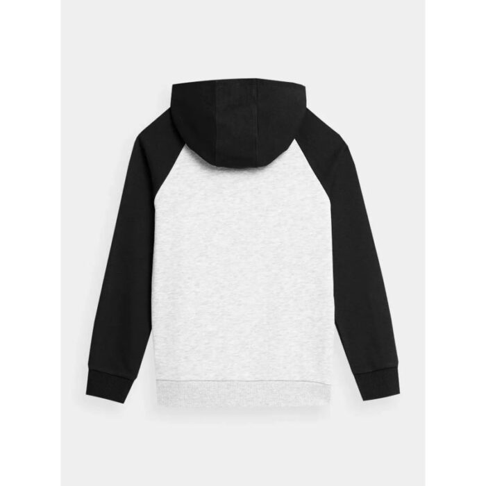 4F Erkek Çocuk Kapüşonlu 2