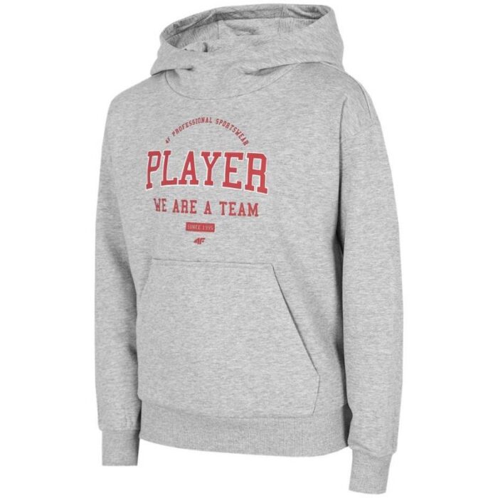 4F Erkek Çocuk Sweatshirt