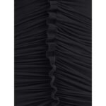 Alexander Wang Ruches Mini 2