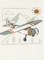 Carter's Erkek Bebek 3'lü