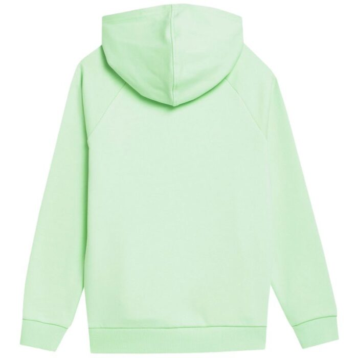 Çocuk - 4F Çocuk Sweatshirt 4FJSS23TSWSM220 42S (Çocuk, Yaşam Tarzı) - Görsel 2
