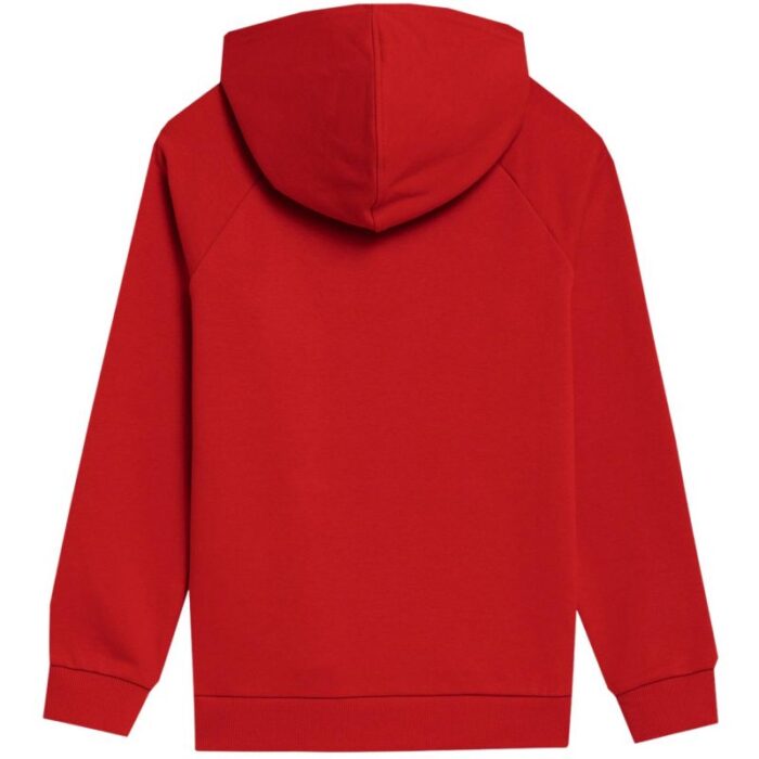 Çocuk - 4F Çocuk Sweatshirt 4FJSS23TSWSM220 62S (Çocuk, Yaşam Tarzı) - Görsel 2