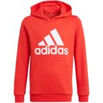 Çocuk - Adidas Essentials Büyük Logo Kapüşonlu Sweatshirt Çocuklar için (Çocuk, TurizmDış Mekan) - Görsel 4