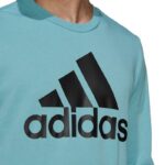 Adidas Essentials Büyük Logo 5