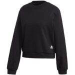 Kadın - adidas Kadın Crew Sweatshirt FL4911 (Kadın, Yaşam Tarzı) - Ana Görsel