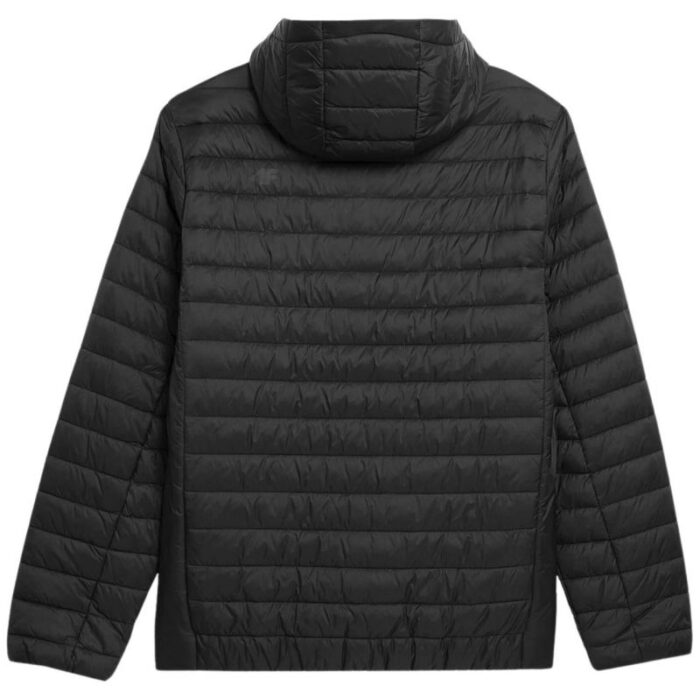 Erkek - 4F Erkek Mont 4FSS23TDJAM085 20S (Erkek, TurizmDış Mekan) - Görsel 2