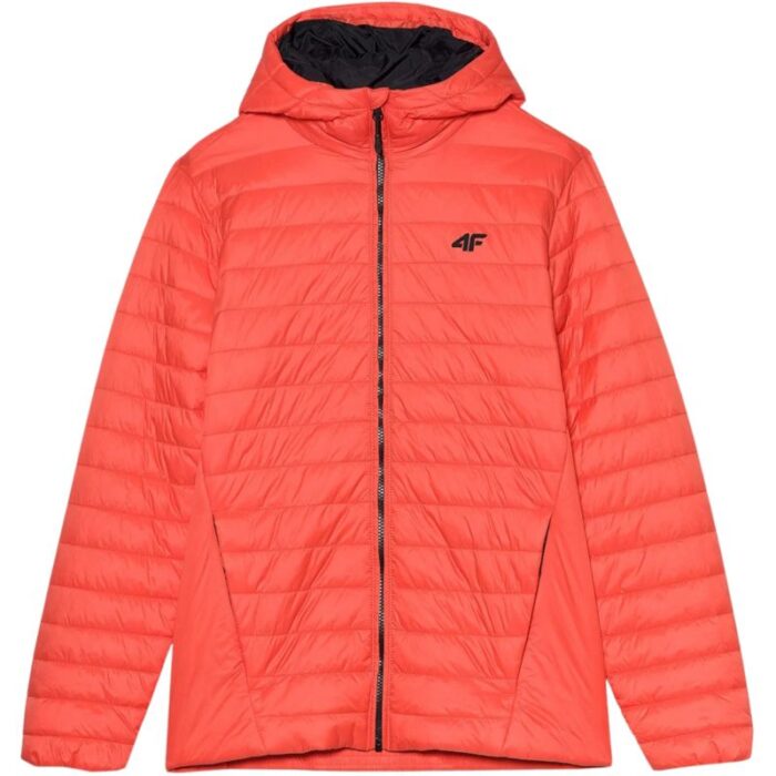 Erkek - 4F Erkek Mont 4FSS23TDJAM085 70S (Erkek, TurizmDış Mekan) - Görsel 3