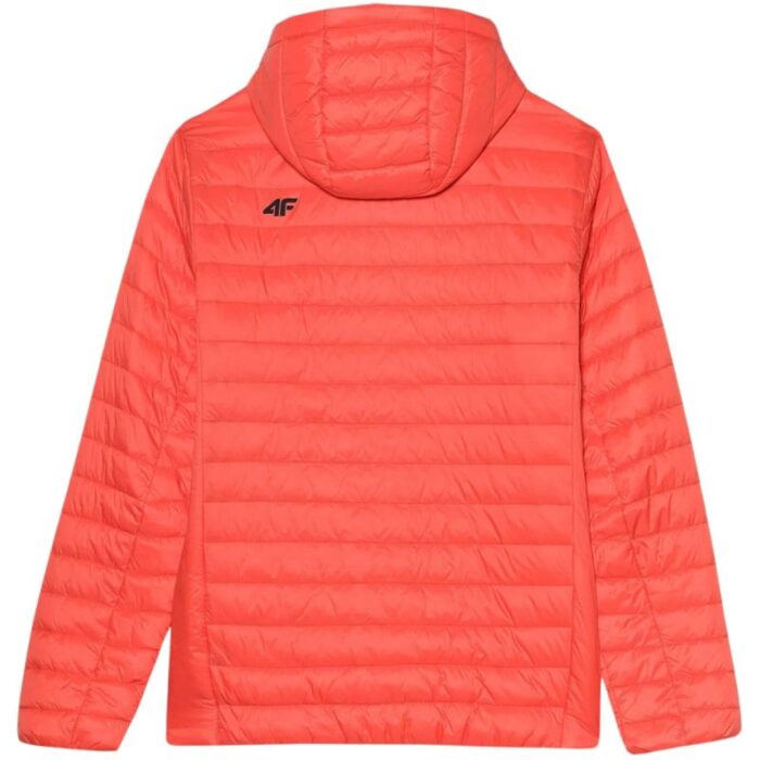 Erkek - 4F Erkek Mont 4FSS23TDJAM085 70S (Erkek, TurizmDış Mekan) - Görsel 4