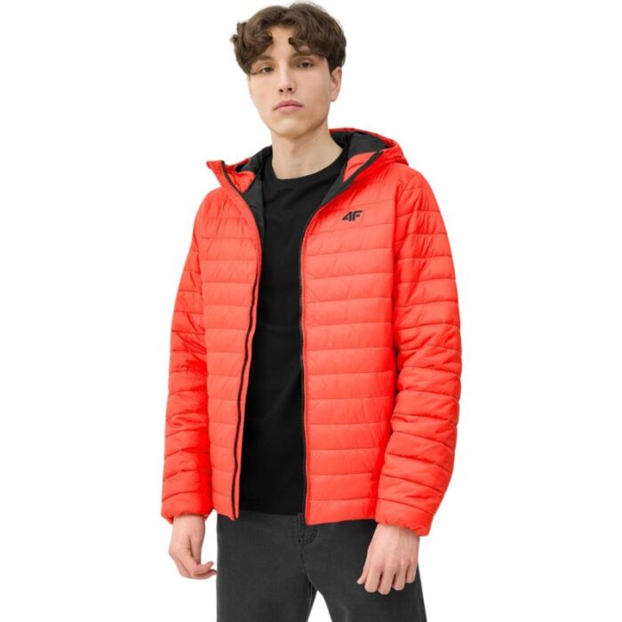 Erkek - 4F Erkek Mont 4FSS23TDJAM085 70S (Erkek, TurizmDış Mekan) - Görsel 6